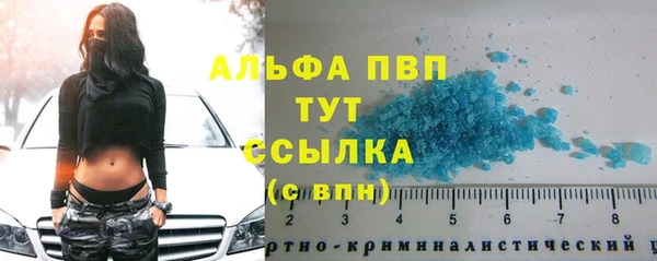эйфоретик Баксан