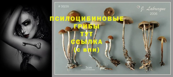 эйфоретик Баксан