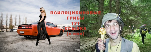 эйфоретик Баксан