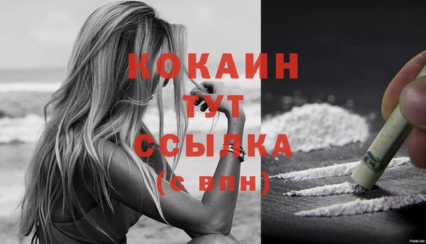 эйфоретик Баксан