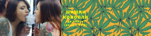 эйфоретик Баксан