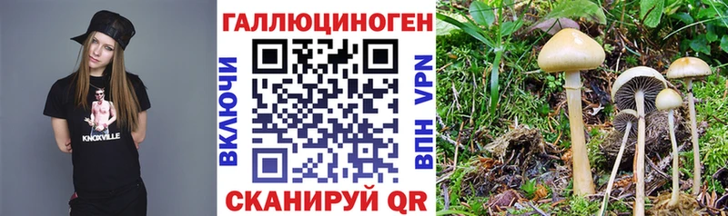 Галлюциногенные грибы MAGIC MUSHROOMS  купить наркотики цена  Богданович 