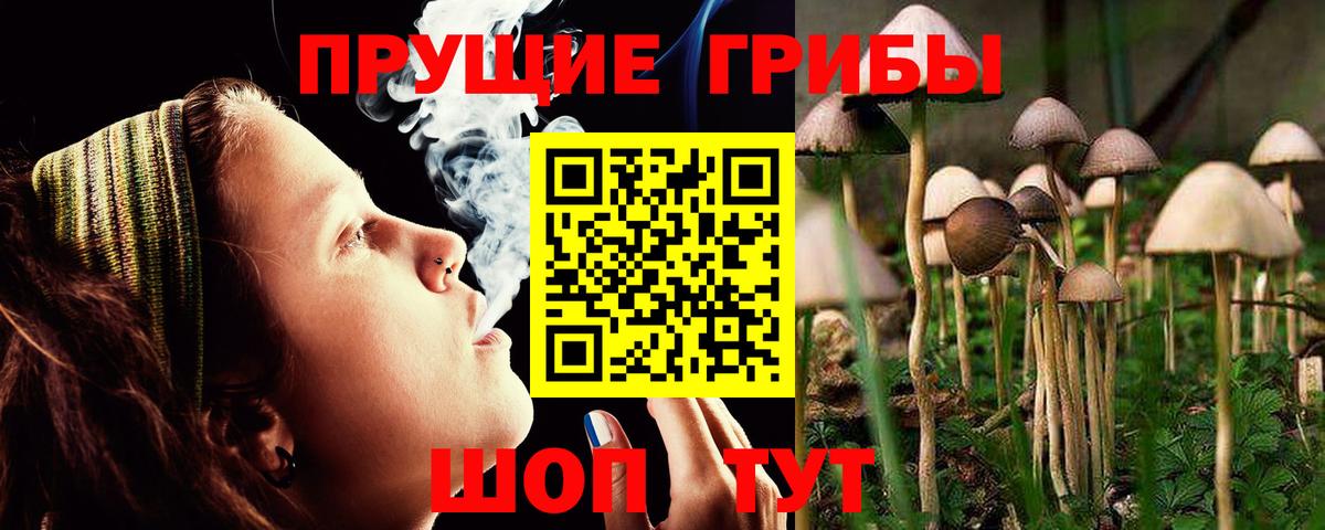 Галлюциногенные грибы MAGIC MUSHROOMS Богданович