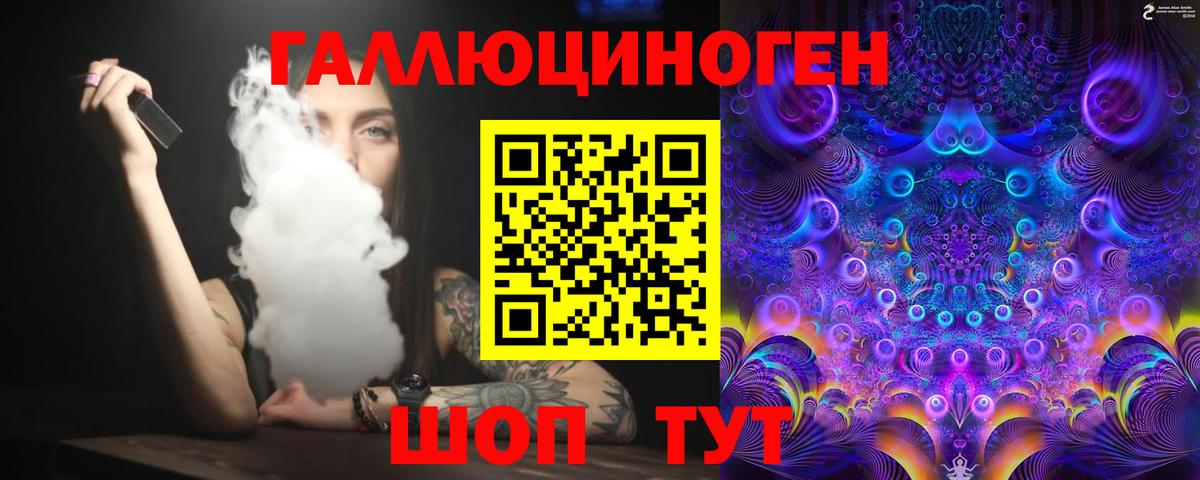 Псилоцибиновые грибы Psilocybine cubensis  Богданович  Псилоцибиновые грибы прущие грибы 