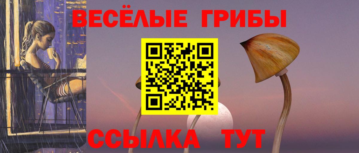 Галлюциногенные грибы Cubensis Богданович