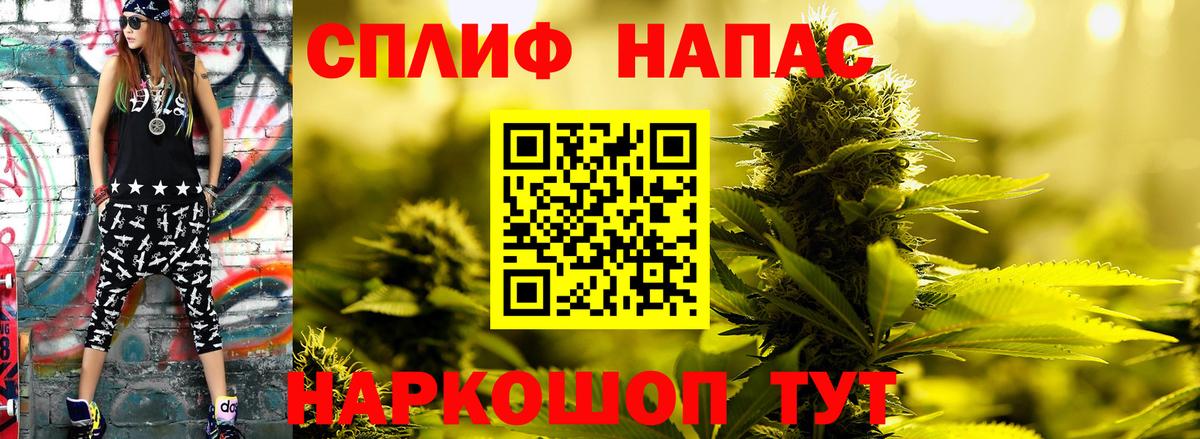 Бошки Шишки семена Богданович