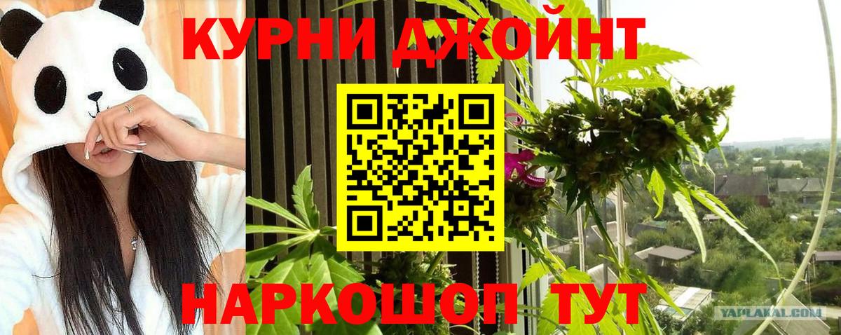 Конопля AK-47  Вход с VPN  Богданович  Бошки марихуана конопля  Марихуана ГИДРОПОН 